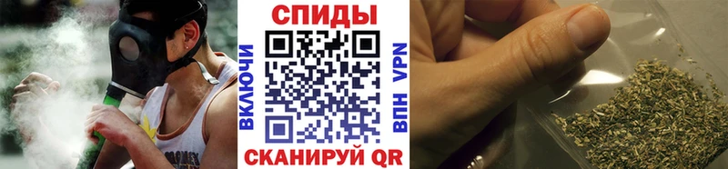 blacksprut зеркало  Пущино  БУТИРАТ BDO 