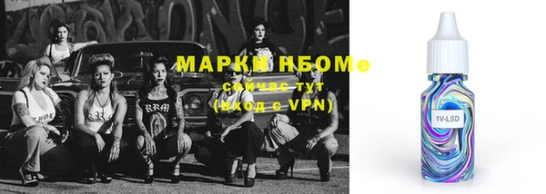 стафф Алексин