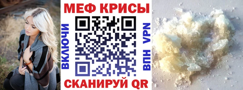 закладка  Пущино  МЯУ-МЯУ мяу мяу 