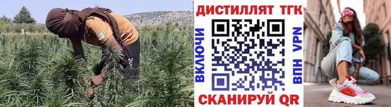 Дистиллят ТГК THC oil  MEGA ссылки  Пущино  купить наркотики цена 