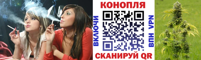 где можно купить наркотик  Пущино  Канабис Bruce Banner 